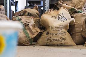 Kaffee aus Peru | Honduras | Ecuador | Guatemala