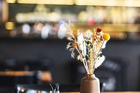 2023 08 Tisch77 Web 2924 2 v2