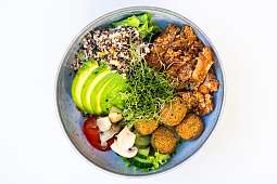 2023 08 Tisch77 Web 3299