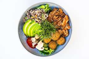 2023 08 Tisch77 Web 3299