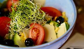 Salat Salat